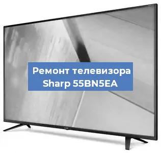 Замена инвертора на телевизоре Sharp 55BN5EA в Санкт-Петербурге